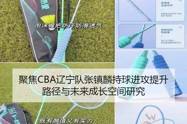 聚焦CBA辽宁队张镇麟持球进攻提升路径与未来成长空间研究